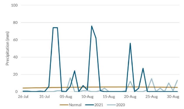Precipitation at Chongjin in North Hamgyong Province