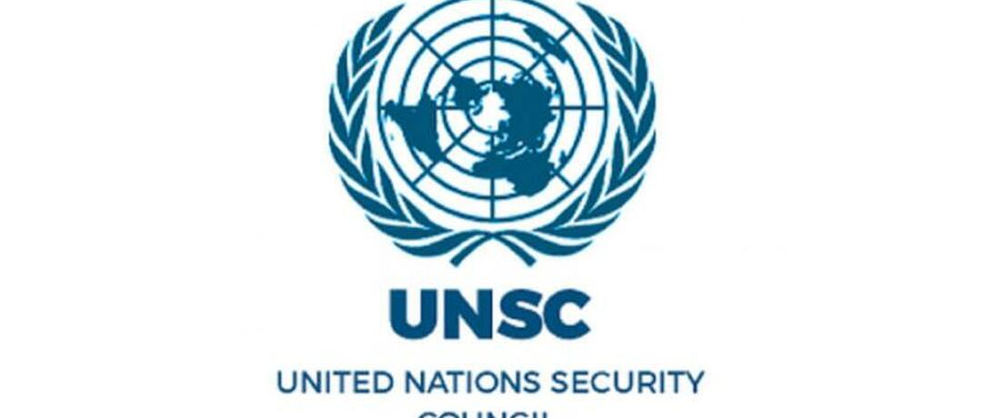 UN Security Council (UNSC)